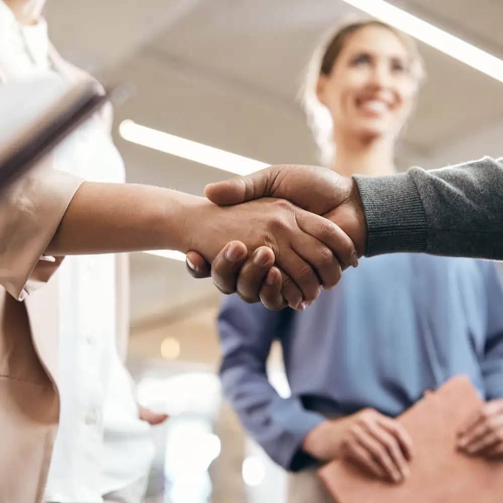Professionals sealing a partnership with a handshake